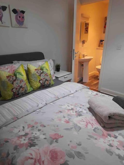 Belfast Apartment Dış mekan fotoğraf