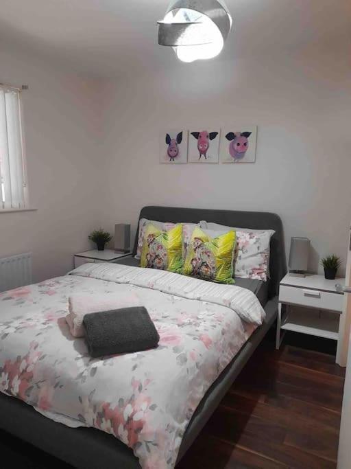 Belfast Apartment Dış mekan fotoğraf
